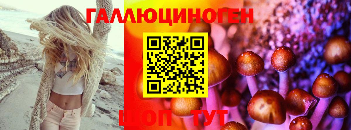 Великий Устюг  Псилоцибиновые грибы Cubensis  Вход с VPN  Галлюциногенные грибы мухоморы 
